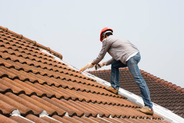 Best Slate Roofing  in Edmonston, MD